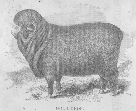 Typical illustration from Korns' 1863 agriculture book.