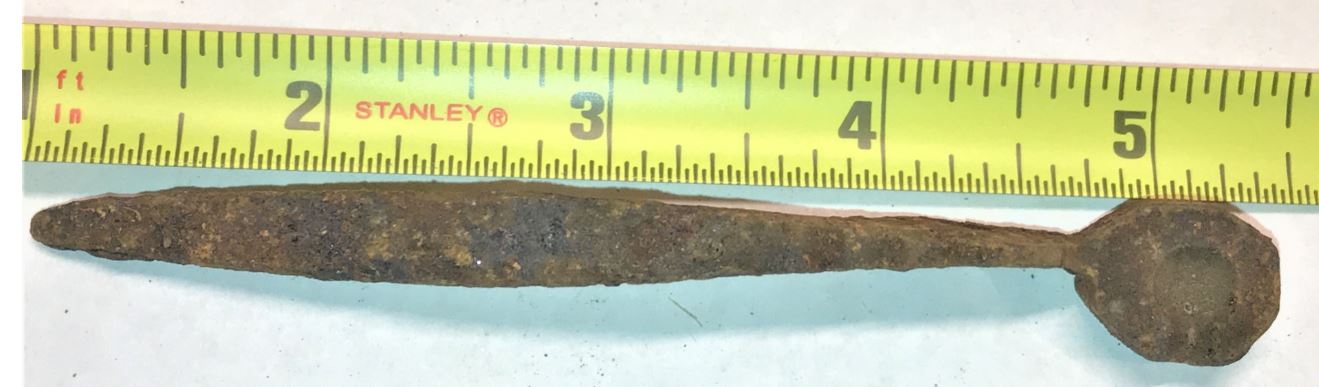 mold photo 003
