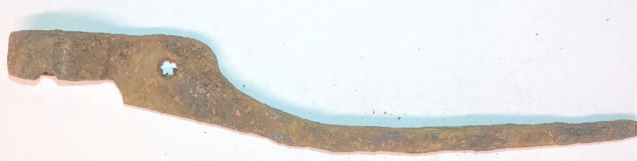 mold photo 006 found on Lepley farm in Somerset County.
