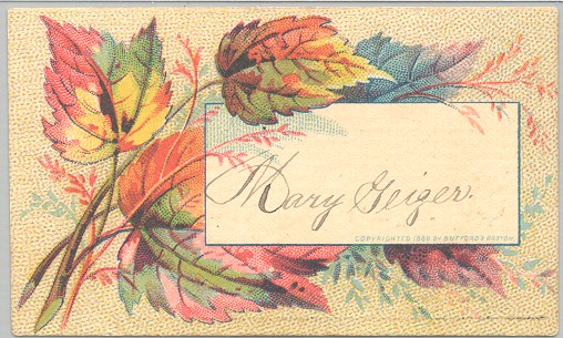 The front of the merit card of Mary Geiger, Somerset County, PA