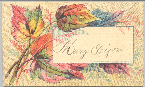 The front of the merit card of Mary Geiger, Somerset County, PA
